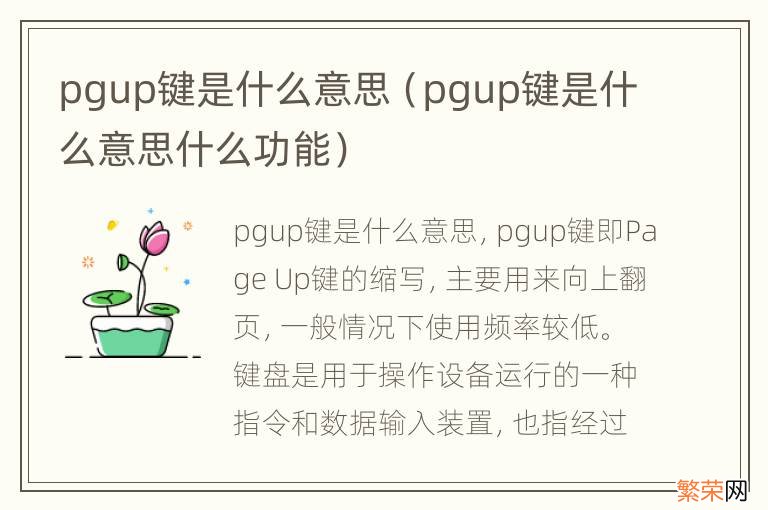 pgup键是什么意思什么功能 pgup键是什么意思