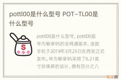 pottl00是什么型号 POT―TL00是什么型号