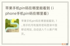 iphone手机pin码在哪里看 苹果手机pin码在哪里能看到