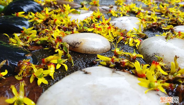 一场秋雨一场寒十场秋雨要穿棉的意思 一场秋雨一场寒十场秋雨要穿棉的意思是什么