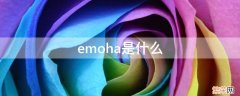 emo.是什么 emoha是什么