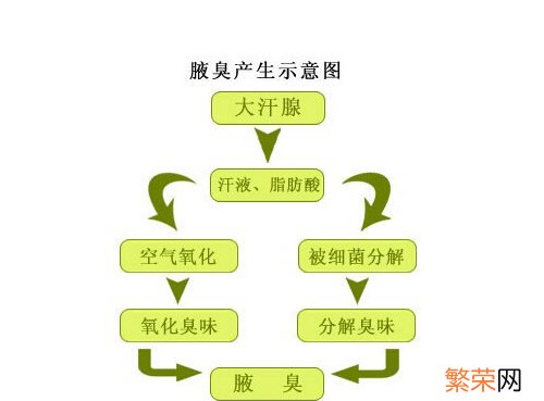 青春期有狐臭怎么治疗 青春期有狐臭怎么办