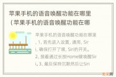 苹果手机的语音唤醒功能在哪里打开 苹果手机的语音唤醒功能在哪里