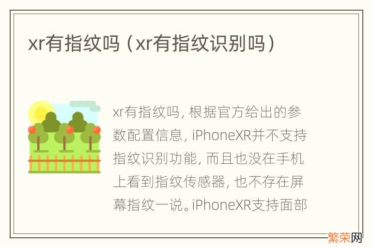 xr有指纹识别吗 xr有指纹吗