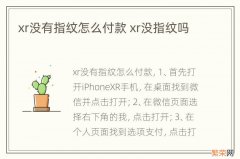 xr没有指纹怎么付款 xr没指纹吗