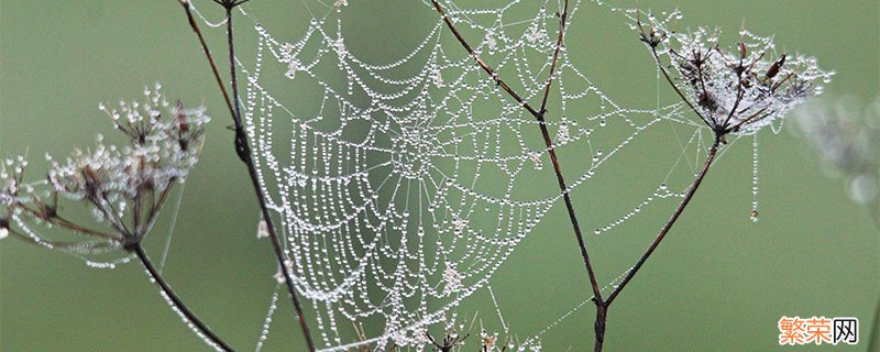白露节气穿什么衣服 白露穿衣注意事项