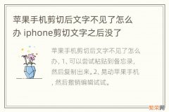 苹果手机剪切后文字不见了怎么办 iphone剪切文字之后没了