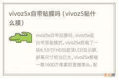 vivoz5贴什么膜 vivoz5x自带贴膜吗