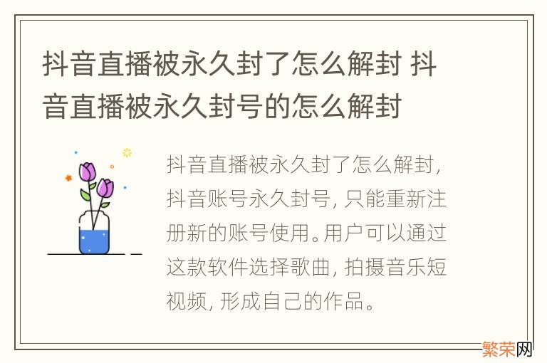 抖音直播被永久封了怎么解封 抖音直播被永久封号的怎么解封