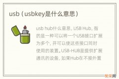 usbkey是什么意思 usb