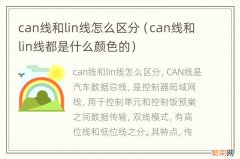 can线和lin线都是什么颜色的 can线和lin线怎么区分