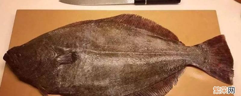 鲽鱼怎样快速去鳞 鳐鱼怎么去鳞