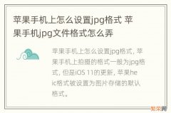 苹果手机上怎么设置jpg格式 苹果手机jpg文件格式怎么弄