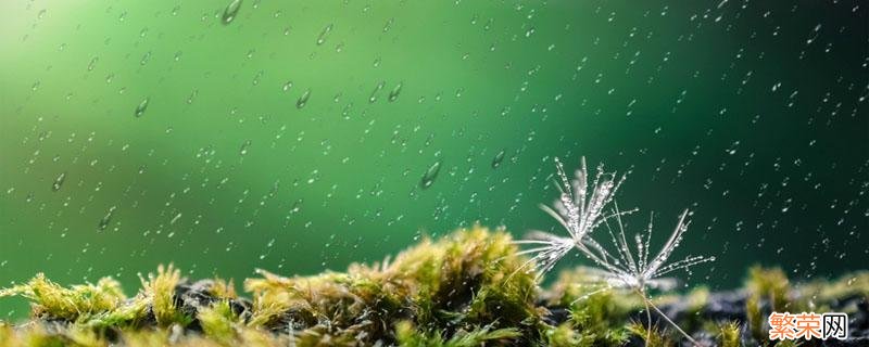 下雨淋湿怎么驱寒 淋雨后喝什么驱寒祛湿