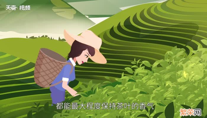 秋茶是什么意思 秋茶是什么