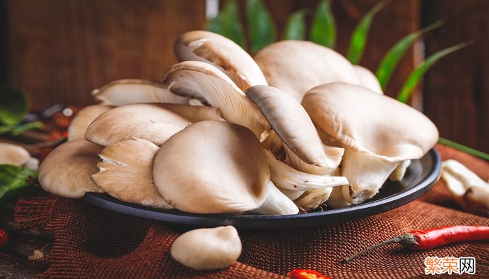 白玉菇和海鲜菇有什么区别 海鲜菇与白玉菇区别