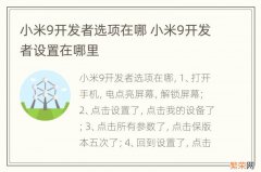 小米9开发者选项在哪 小米9开发者设置在哪里