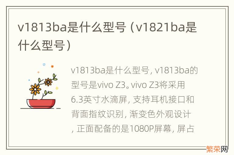 v1821ba是什么型号 v1813ba是什么型号
