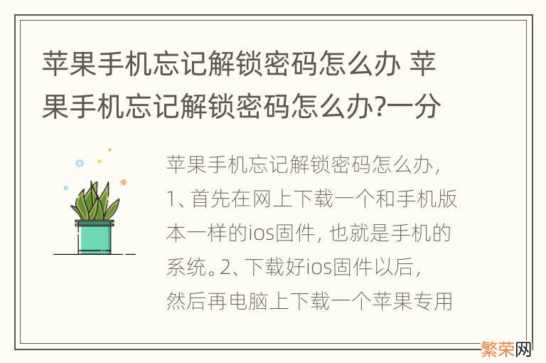 苹果手机忘记解锁密码怎么办 苹果手机忘记解锁密码怎么办?一分钟解决