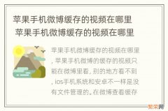 苹果手机微博缓存的视频在哪里 苹果手机微博缓存的视频在哪里找到