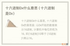 十六进制是0x 十六进制0x什么意思