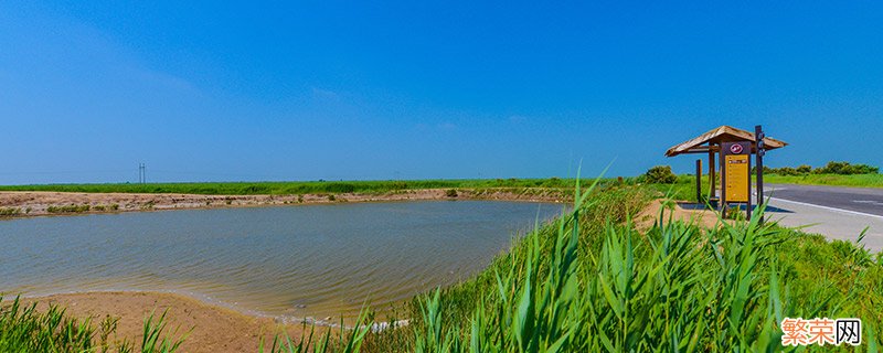 黄河入海口在哪里 黄河入海口在哪个城市