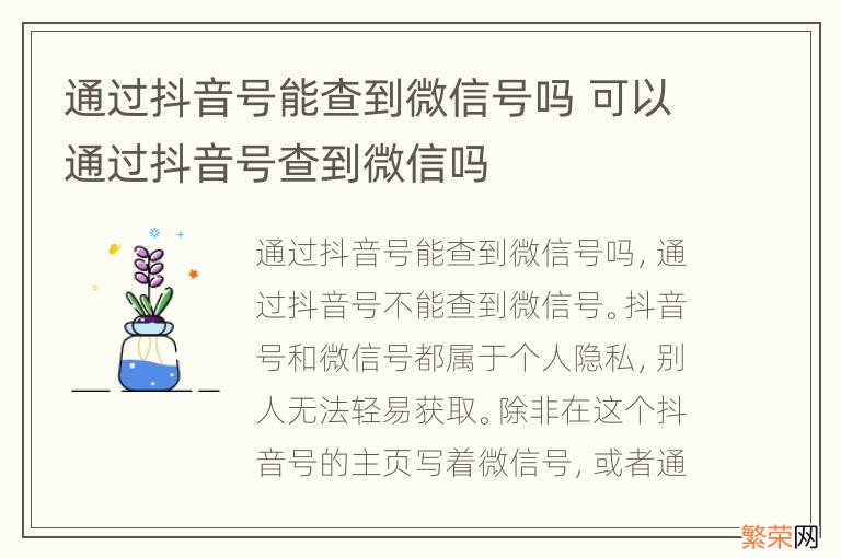 通过抖音号能查到微信号吗 可以通过抖音号查到微信吗