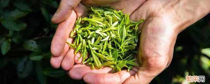 茶叶如何保存方法 茶叶的保存方法长期保存方法