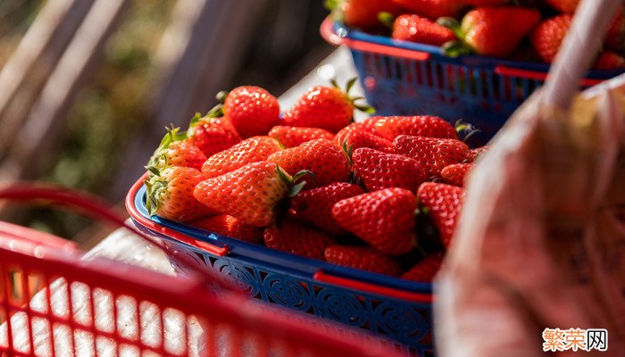我们经常吃草莓的哪个部位 草莓吃的什么部位