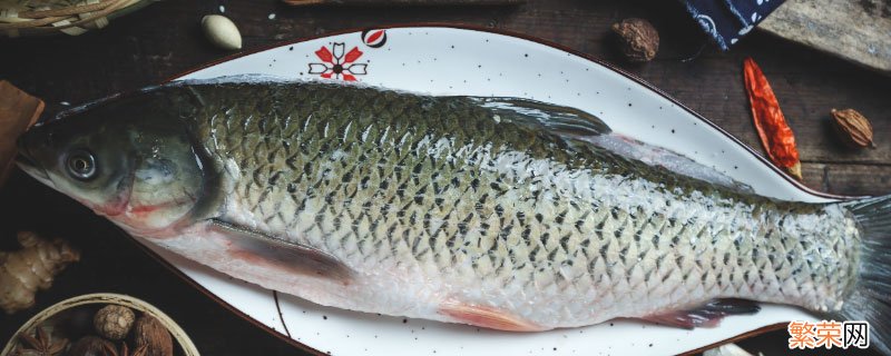 鲤鱼能生活在海水中吗 鲤鱼能在海水里生存吗