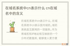 在域名系统中cn表示什么 cn在域名中的含义