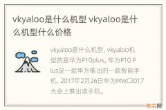 vkyaloo是什么机型 vkyaloo是什么机型什么价格