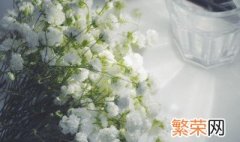 满天星的花语是什么意思 满天星的花语是什么