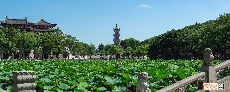 普陀山在哪个省哪个市 普陀山在哪个省