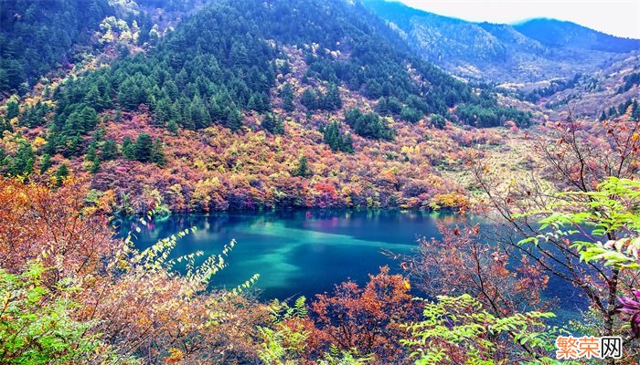 九寨沟是哪个省的 九寨沟是哪个省的城市的景观