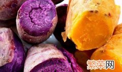 紫薯和红薯的区别 减脂期间吃紫薯和红薯的区别