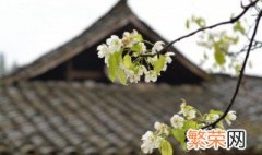 2022年清明节高速免费吗 2022年清明节高速收费不