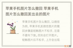 苹果手机图片怎么撤回 苹果手机图片怎么撤回发出去的图片