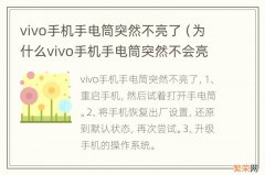 为什么vivo手机手电筒突然不会亮了 vivo手机手电筒突然不亮了