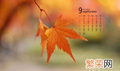 9月份节日 九月份有什么节日