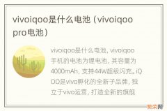 vivoiqoopro电池 vivoiqoo是什么电池