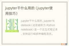 jupyter使用技巧 jupyter干什么用的