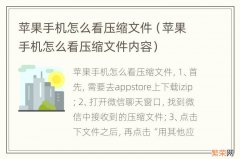 苹果手机怎么看压缩文件内容 苹果手机怎么看压缩文件