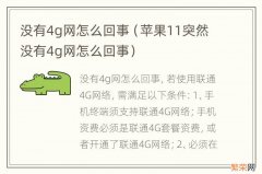 苹果11突然没有4g网怎么回事 没有4g网怎么回事