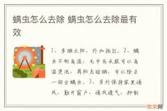 螨虫怎么去除 螨虫怎么去除最有效