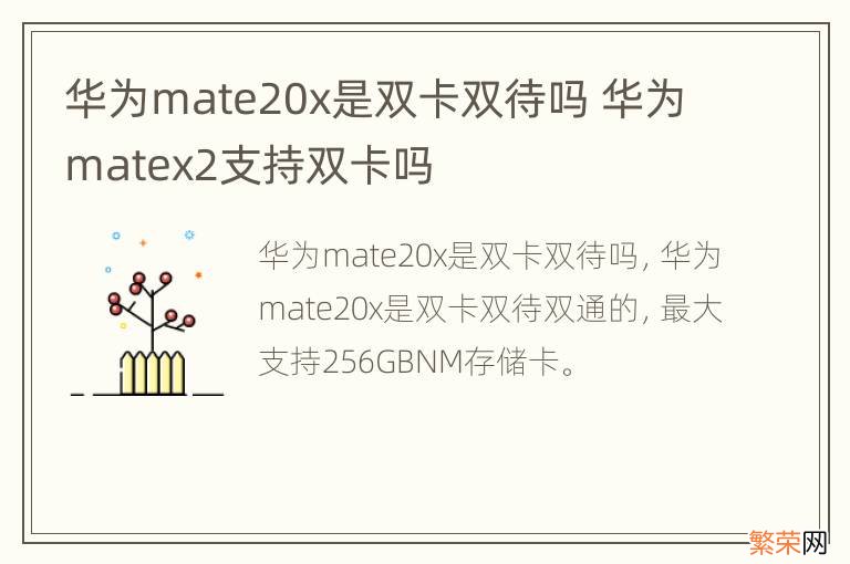 华为mate20x是双卡双待吗 华为matex2支持双卡吗