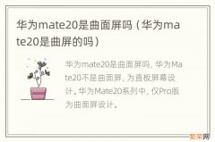 华为mate20是曲屏的吗 华为mate20是曲面屏吗