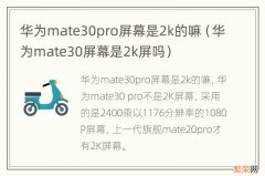 华为mate30屏幕是2k屏吗 华为mate30pro屏幕是2k的嘛