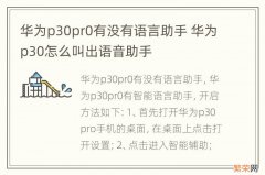 华为p30pr0有没有语言助手 华为p30怎么叫出语音助手