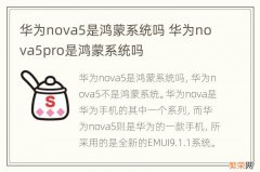 华为nova5是鸿蒙系统吗 华为nova5pro是鸿蒙系统吗